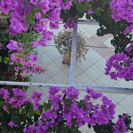 Nikolic 2 Apartment