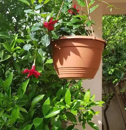 Nikolic 2 Apartamento Makarska